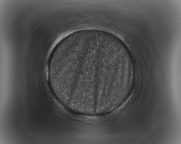 X0000086731509200705041337