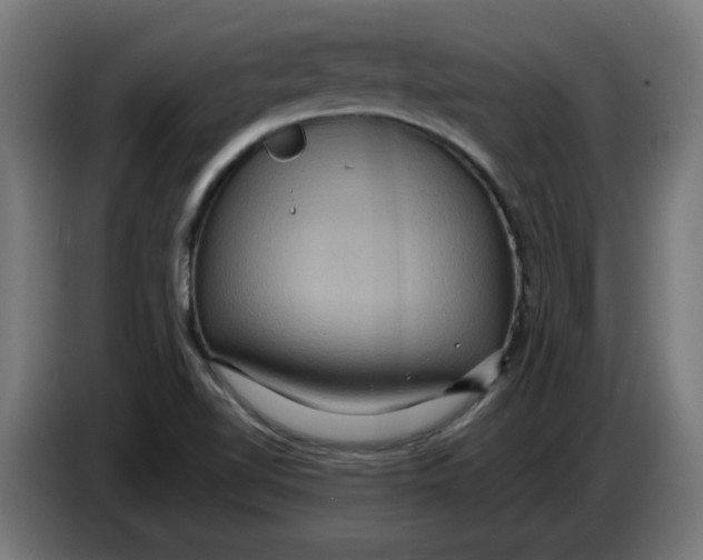 X0000086731510200705041337