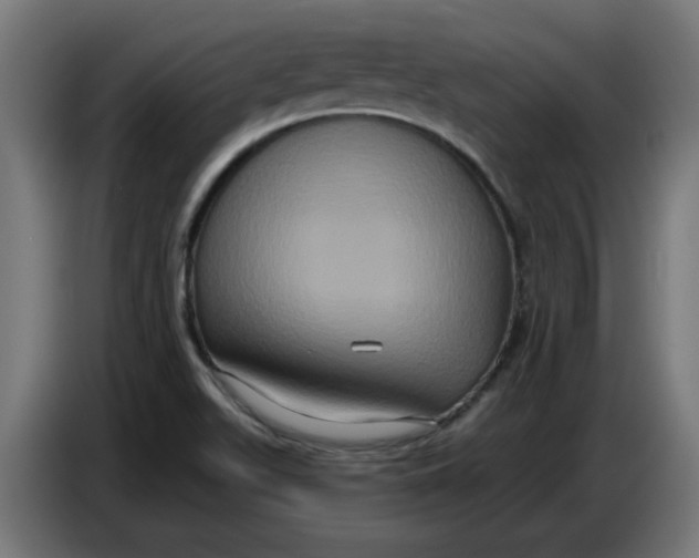 X0000086731511200705041337