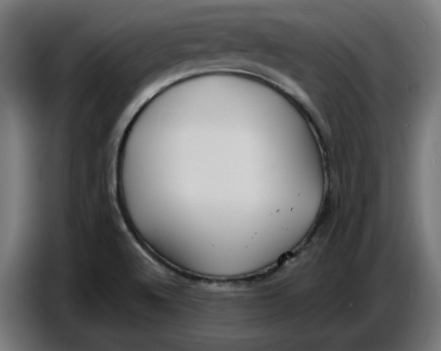 X0000086731512200705041337