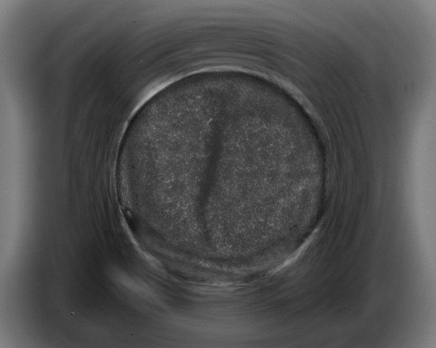 X0000086731513200705041337