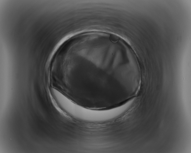 X0000086731515200705041337