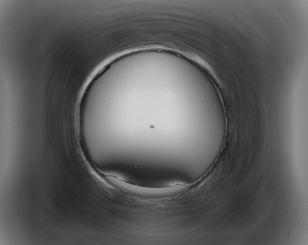 X0000086731516200705041337