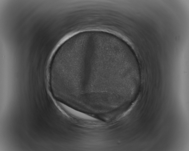 X0000086731517200705041337