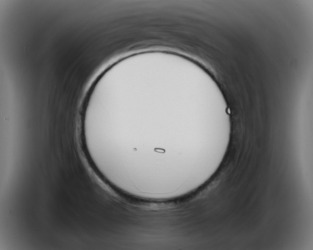 X0000086731518200705041337