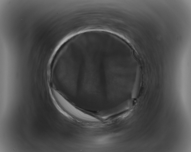 X0000086731519200705041337