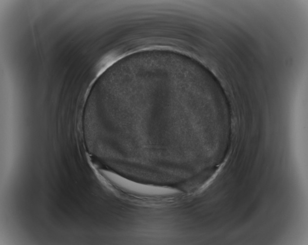 X0000086731521200705041337