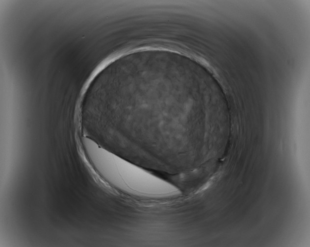 X0000086731522200705041337