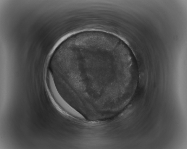 X0000086731523200705041337