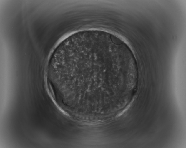 X0000086731525200705041337