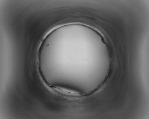 X0000086731526200705041337