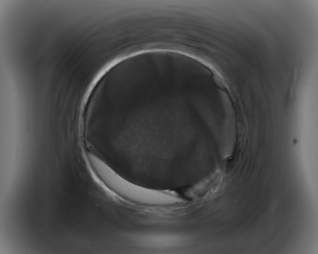 X0000086731527200705041337