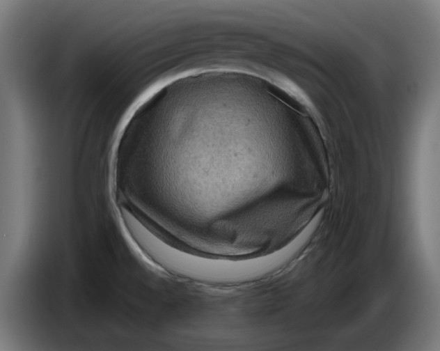 X0000086731528200705041337