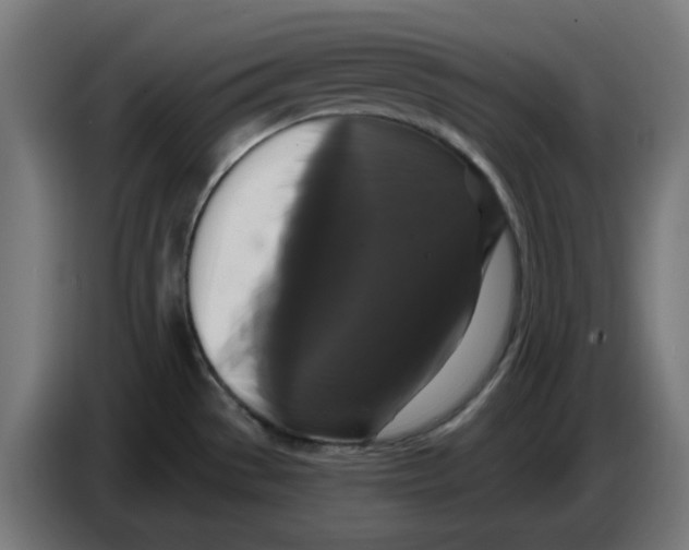 X0000086731529200705041337