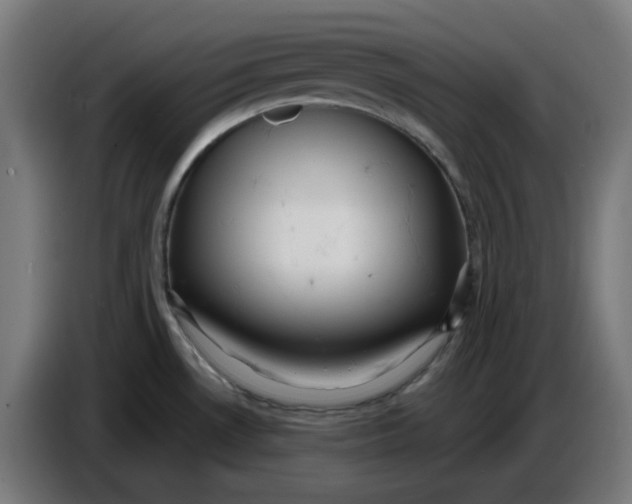 X0000086731530200705041337