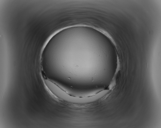 X0000086731532200705041337