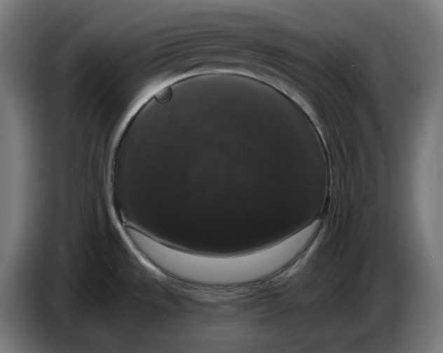 X0000086731533200705041337