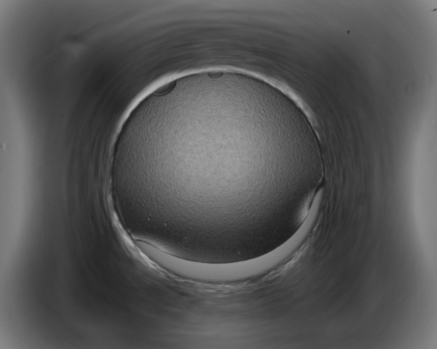 X0000086731534200705041337