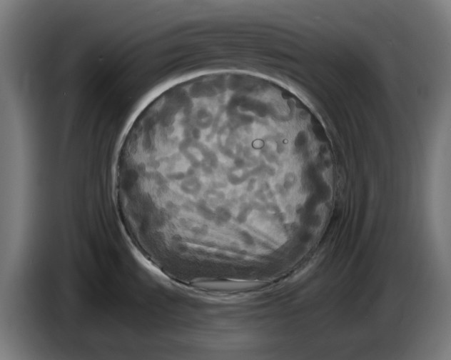 X0000086731535200705041337