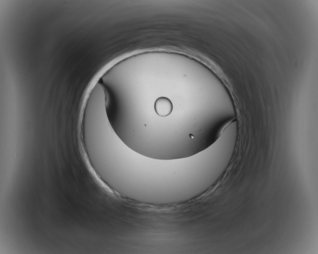 X0000086731536200705041337