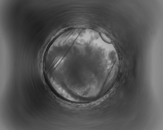 X0000086730002200705111624