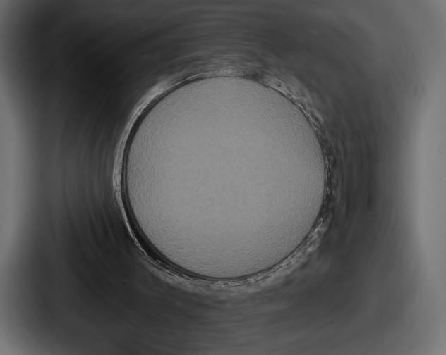 X0000086730003200705111624