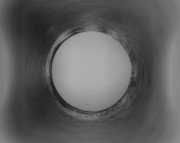 X0000086730004200705111624