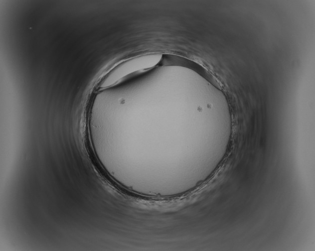 X0000086730005200705111624