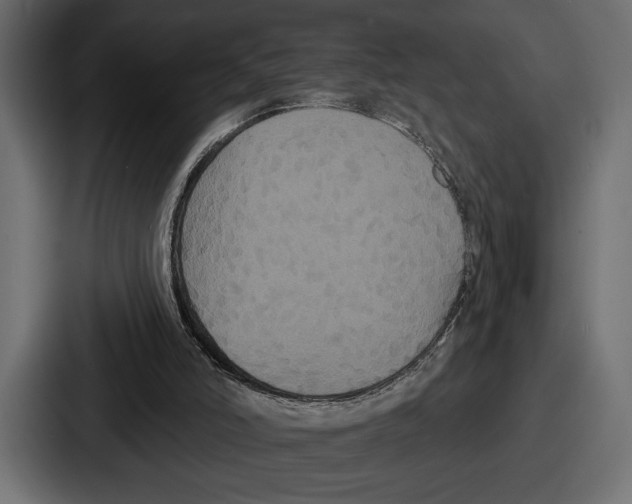 X0000086730006200705111624