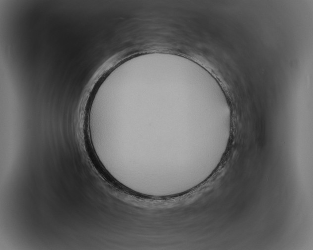 X0000086730007200705111624
