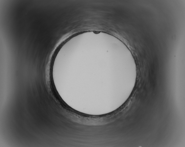 X0000086730008200705111624