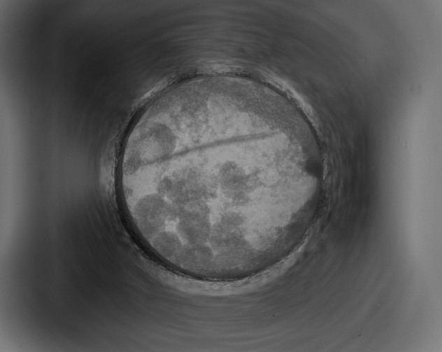 X0000086730010200705111624