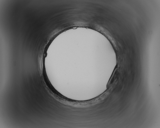 X0000086730011200705111624
