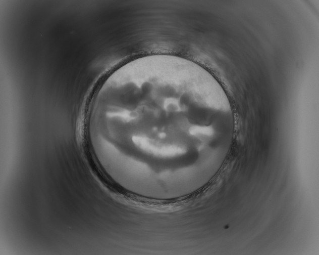 X0000086730012200705111624