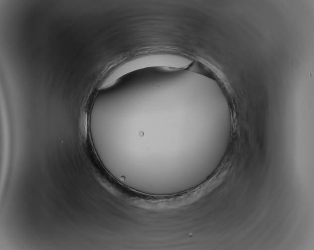 X0000086730013200705111624
