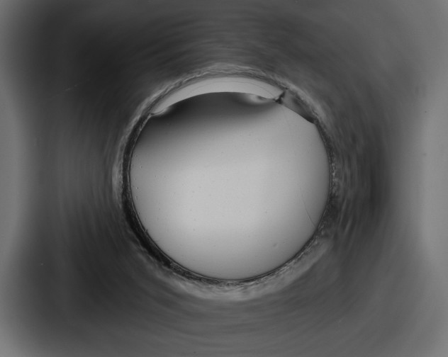 X0000086730015200705111624