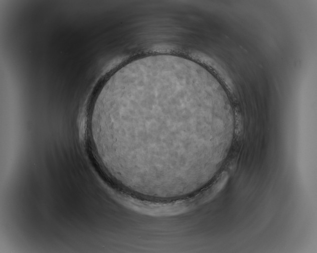 X0000086730016200705111624