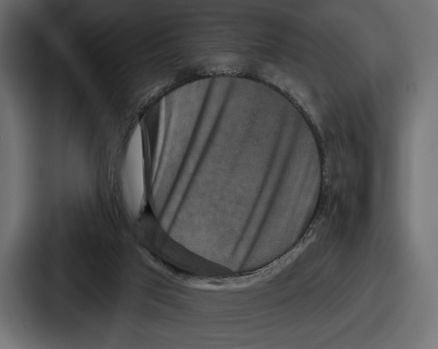 X0000086730017200705111624