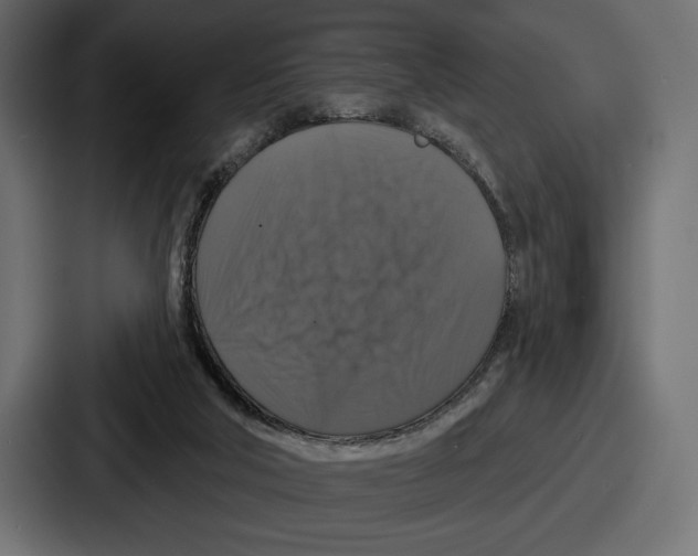 X0000086730018200705111624