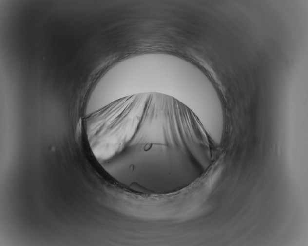 X0000086730019200705111624