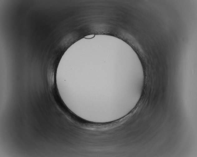 X0000086730021200705111624