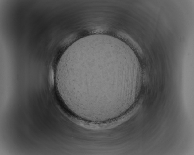 X0000086730022200705111624