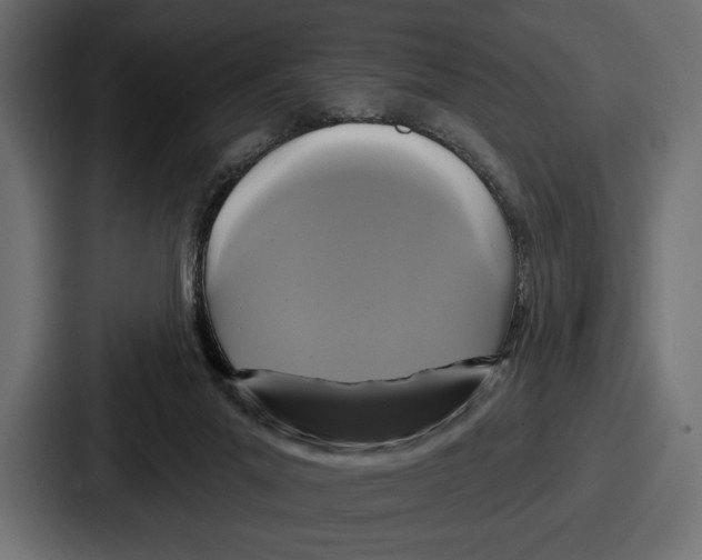 X0000086730023200705111624