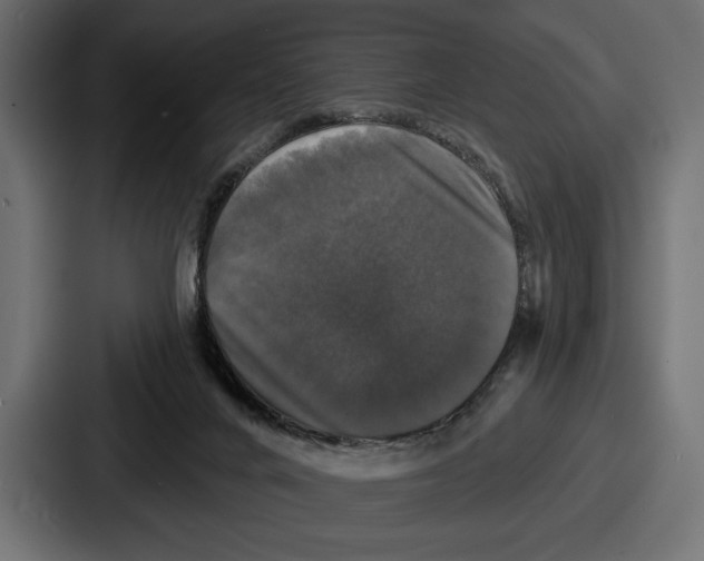 X0000086730024200705111624