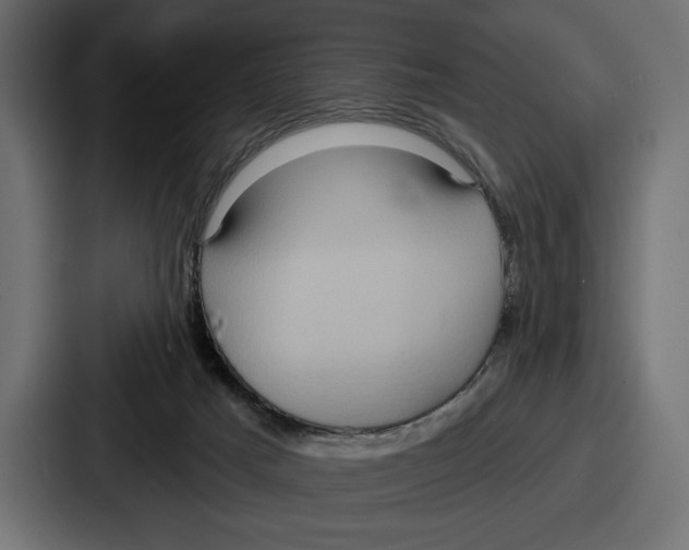 X0000086730025200705111624