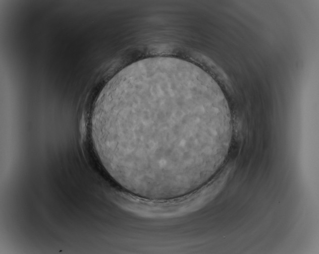 X0000086730026200705111624
