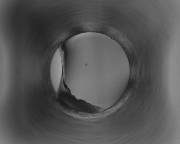 X0000086730027200705111624