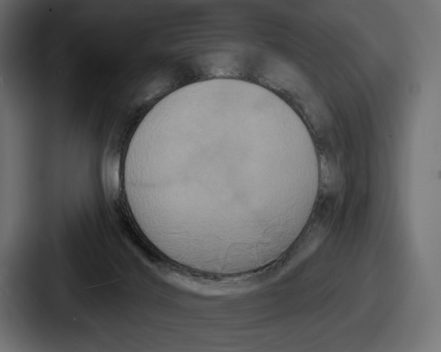 X0000086730028200705111624