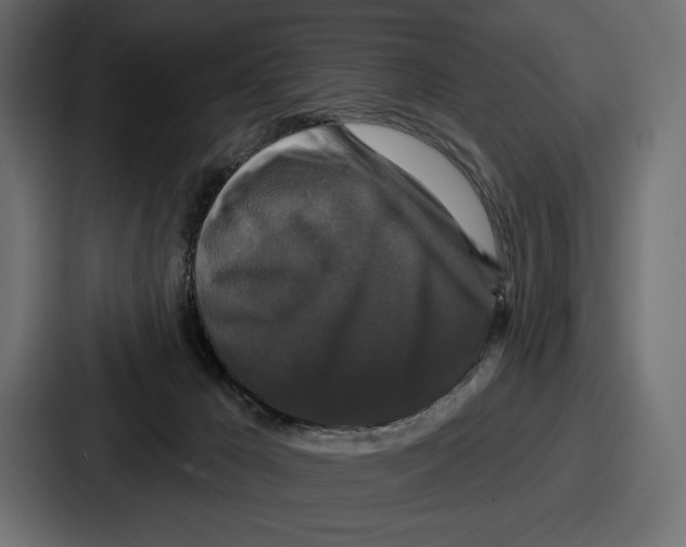 X0000086730029200705111624