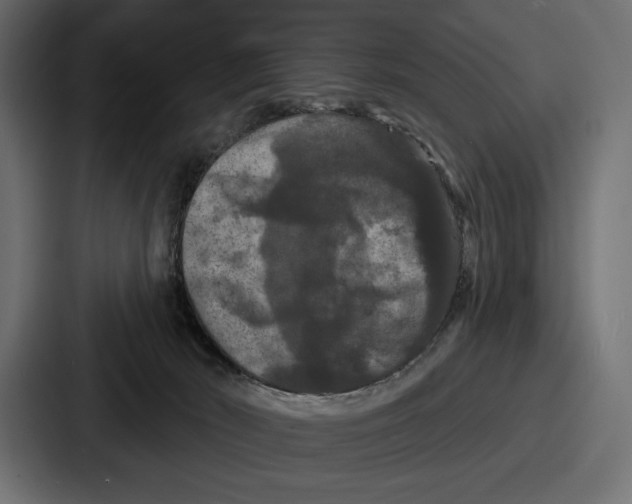 X0000086730030200705111624